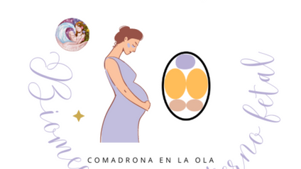 Product image for Biomecánica materno-fetal intraparto