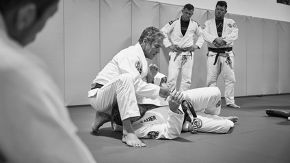 Product image for Sauer Jiu-Jitsu: White to Blue Curriculum
