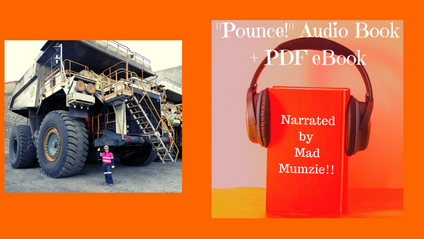 Product image for 'Pounce Audio Book