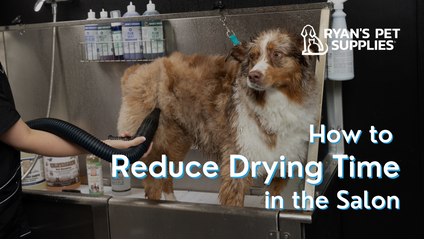Product image for How to Reduce Drying Time in the Salon