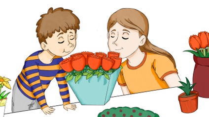 Product image for My Five Senses - French Thematic Unit