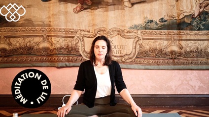 Product image for MÉDITATIONS DE LILI (88 vidéos)
