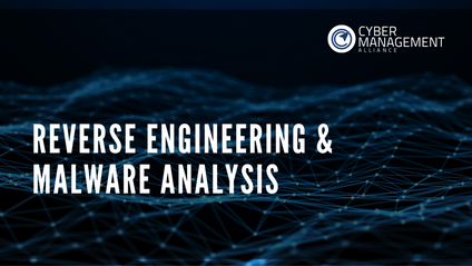 Product image for Reverse Engineering & Malware Analysis