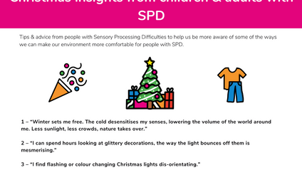 Product image for Christmas sensory insights