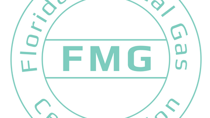 Product image for FMG Audio en Español - NFPA 99 2021 Medical Gas Training - 4 Hour course