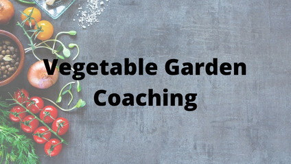 Product image for Vegetable Gardening Coaching