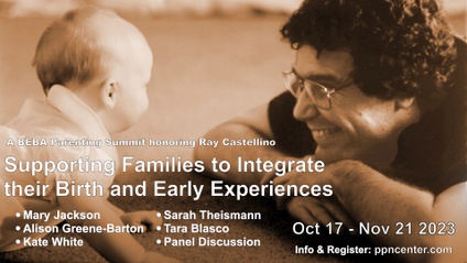 Product image for Supporting Families to Integrate Their Birth and Early Experiences