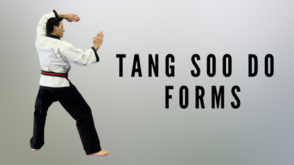 Product image for Follow Along Tang Soo Do Forms 