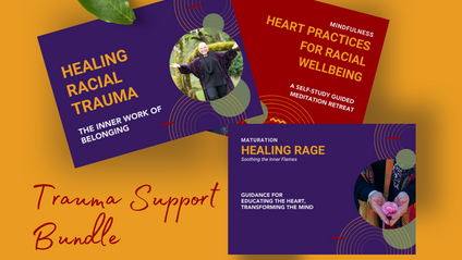 Product image for Trauma Support Bundle 