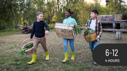 Product image for School Gardens