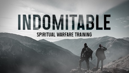 Product image for INDOMITABLE