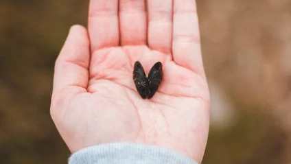 Product image for Self-Compassion for the Homeschool Mama 