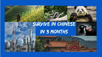 Product image for Survive in Chinese in 3 Months: Part 1