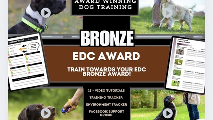 Product image for Bronze (EDC) Course