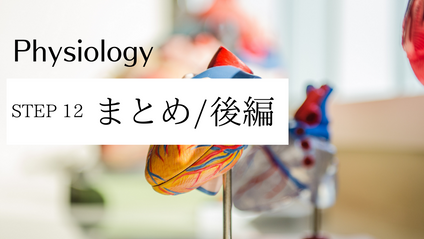 Product image for まとめ/ 後編