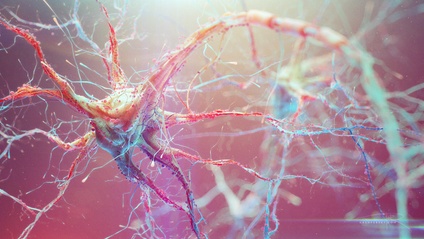 Product image for Meditación Neuronal Abundancia