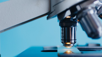 Product image for AI in Biology and Biological Sciences