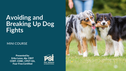 Product image for Mini Course: Avoiding and Breaking Up Dog Fights