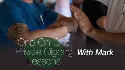 Product image for One-On-One Private Qigong Lesson with Mark