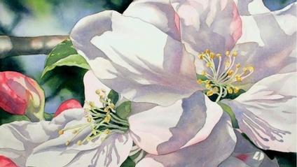 Product image for Background & Shadows, Paint at your own pace
