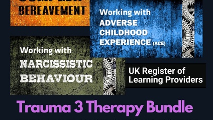 Product image for Trauma Therapy Bundle