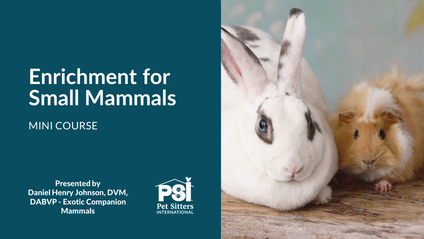 Product image for Mini Course: Enrichment for Small Mammals