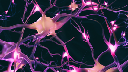 Product image for Lecture Short Course: Anatomy & Physiology - Cytology