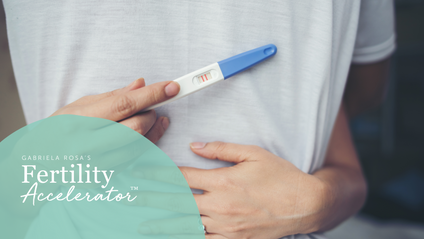 Product image for Gabriela Rosa's Fertility Accelerator™ Program 
