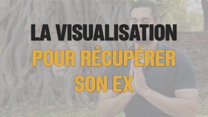 Product image for La visualisation pour récupérer son ex