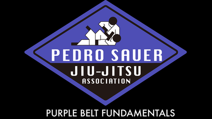 Product image for Sauer Jiu-Jitsu: Blue to Purple Curriculum