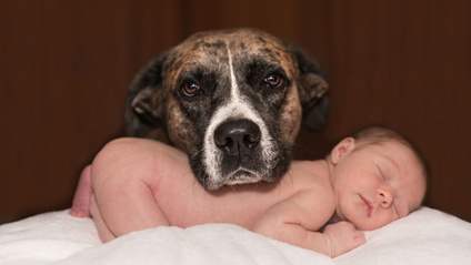 Product image for New Baby Guide