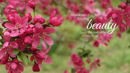 Product image for Finding Beauty Spring