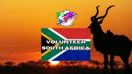 Product image for Volunteer in South Africa