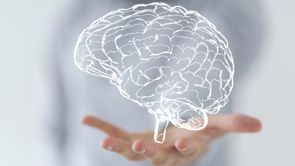 Product image for Top 10 Foods for Brain Health