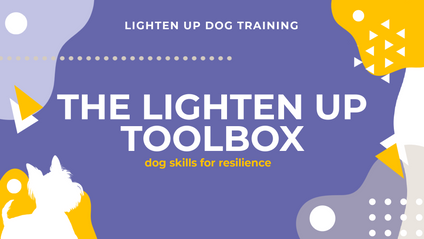 Product image for The Lighten Up Toolbox: Dog Skills For Resilience