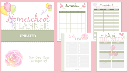 Product image for Homeschool Planner (undated version)