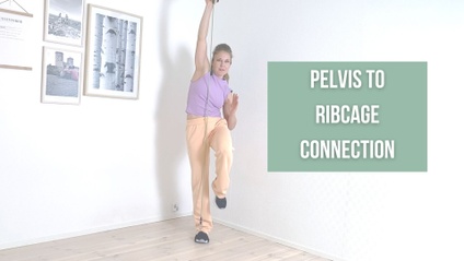 Product image for Pelvis to Ribcage connection