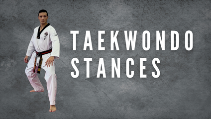 Product image for Taekwondo Stances