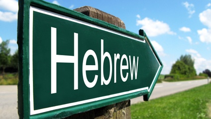 Product image for Basics of Prayer Book Hebrew