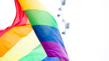 Product image for LGBTIQ+, Mental Health, Disablity and Aged Care (4 CPD hours)