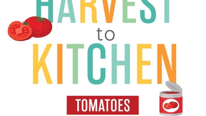Product image for Harvest to Kitchen - Tomatoes