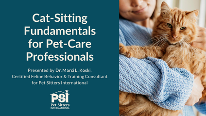 Product image for Cat-Sitting Fundamentals for Pet-Care Professionals
