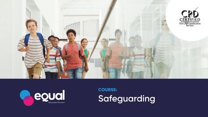 Product image for Safeguarding