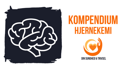 Product image for Hjernekemi