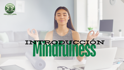 Product image for Introducción al Mindfulness