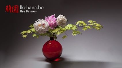 Product image for Ikebana - a Journey - More than 500 video's inside!