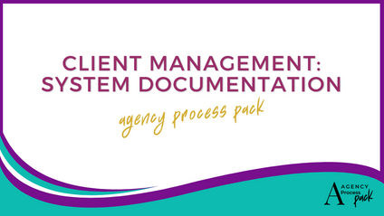 Product image for Process Pack: Insurance Client Management: System Documentation