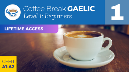 Product image for Coffee Break Gaelic Level 1