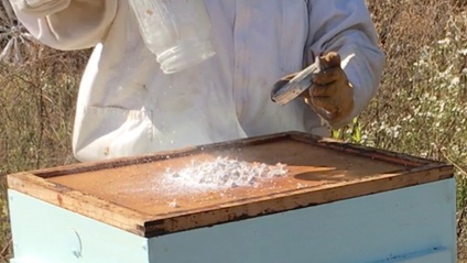 Product image for Year Round Varroa Mite Management