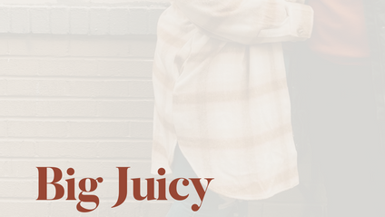 Product image for Big Juicy Love Life Workbook